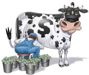 Cash cow