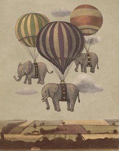 Hot Air Balloon