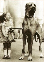 Who let the dogs out?